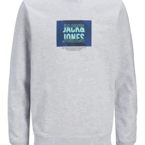 JACK & JONES Muški duks 12269388, Sivi